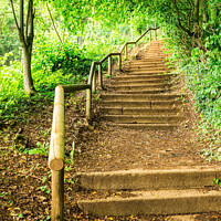 Buy canvas prints of Green forest staircase steps by Alex Winter