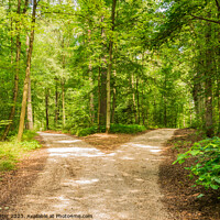 Buy canvas prints of Crossroad two ways, choose the way by Alex Winter