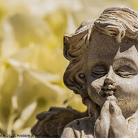 Buy canvas prints of A close up of a angel by Alex Winter
