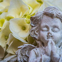 Buy canvas prints of Praying angel by Alex Winter