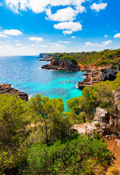 Rough cliffs coast of Majorca Picture Board by Alex Winter