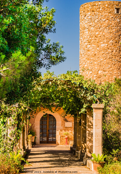 entrance of mediterranean house Picture Board by Alex Winter