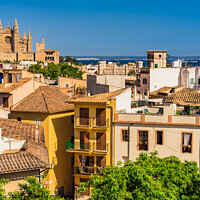 Buy canvas prints of Palma de Majorca Cathedral La Seu Spain by Alex Winter