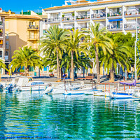 Buy canvas prints of bay of alcudia by Alex Winter