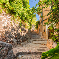 Buy canvas prints of Old famous village Fornalutx by Alex Winter