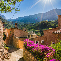 Buy canvas prints of Fornalutx in Mallorca by Alex Winter