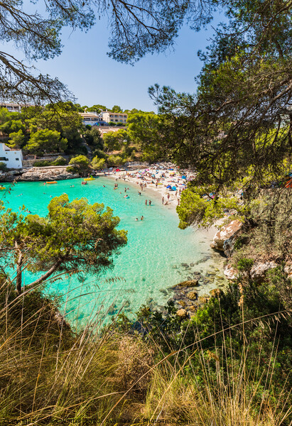 Beach of Cala Santanyi bay on Majorca Picture Board by Alex Winter