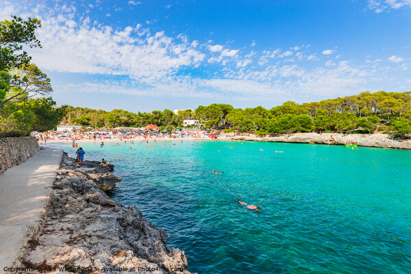 Cala Mondrago beach on Mallorca Picture Board by Alex Winter