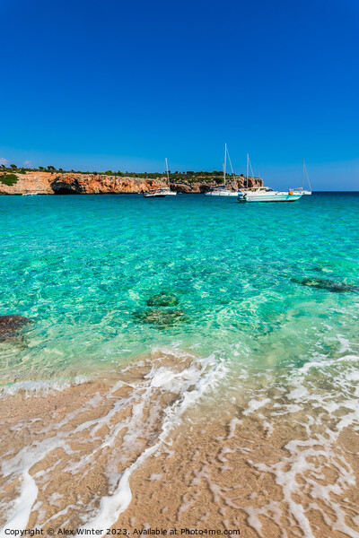 Beach Majorca, beautiful bay of Cala Varques Picture Board by Alex Winter