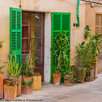 Buy canvas prints of House with flower pots in the old town of Alcudia by Alex Winter