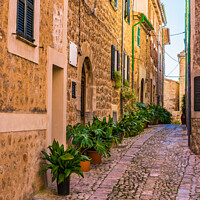 Buy canvas prints of Fornalutx Mallorca by Alex Winter
