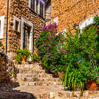 Buy canvas prints of Old mediterranean village of Fornalutx by Alex Winter