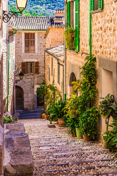 Idyllic village of Fornalutx on Majorca Picture Board by Alex Winter