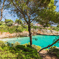 Buy canvas prints of Beautiful beach bay of Cala Anguila by Alex Winter