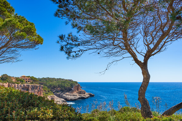 Mallorca, coast of Santanyi Picture Board by Alex Winter
