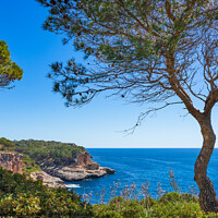 Buy canvas prints of Mallorca, coast of Santanyi by Alex Winter
