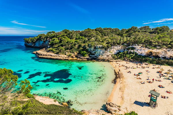 Beautiful view of Cala Llombards beach bay Picture Board by Alex Winter