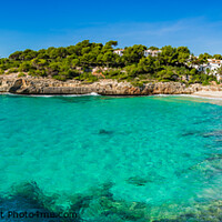 Buy canvas prints of Cala Anguila bay beach Majorca by Alex Winter