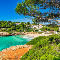 Buy canvas prints of Cala Anguila beach  by Alex Winter