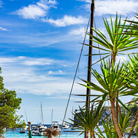 Buy canvas prints of Luxury yachts boats in beautiful bay by Alex Winter