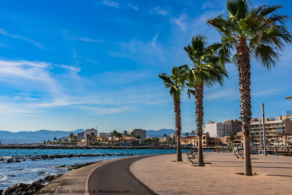 Portixol, Palma de Majorca Picture Board by Alex Winter