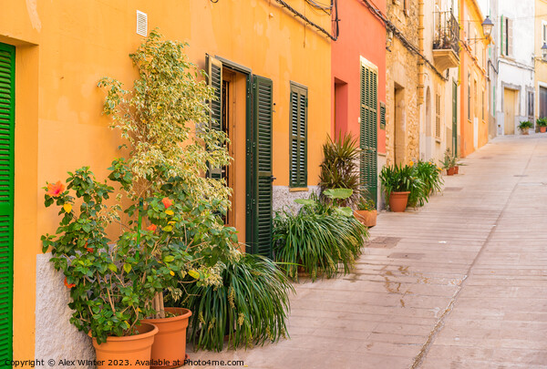 Idyllic street in the old town of Alcudia  Picture Board by Alex Winter