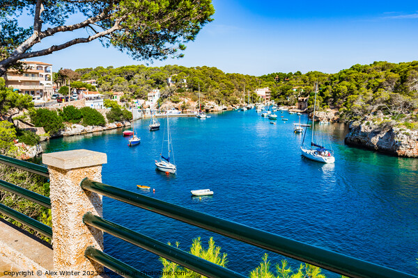 Fishing harbor at Cala Figuera bay Picture Board by Alex Winter