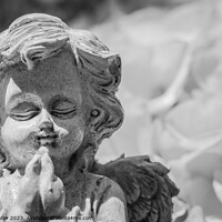 Buy canvas prints of Little praying angel by Alex Winter