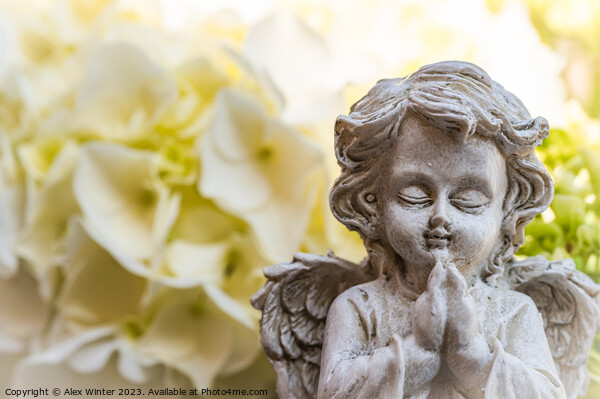 Praying angel Picture Board by Alex Winter