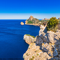Buy canvas prints of Formentor cape by Alex Winter