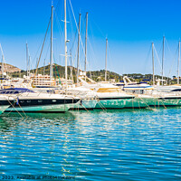 Buy canvas prints of Luxury yachts boats anchored in mediterranean marina on Mallorca by Alex Winter