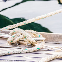 Buy canvas prints of Detail view of yacht rope cleat by Alex Winter