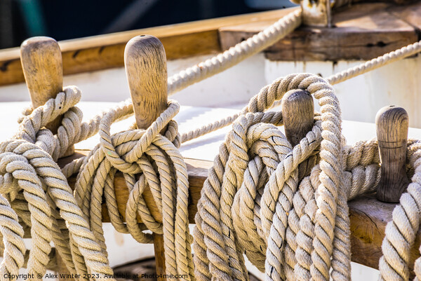 The Majestic Beauty of Nautical Ropes Picture Board by Alex Winter
