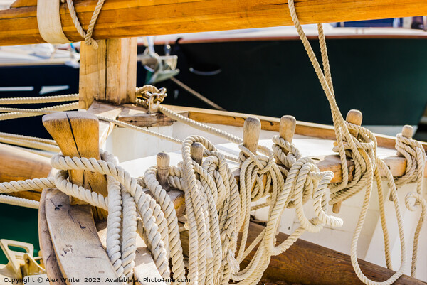 Deatial image of moored ropes Picture Board by Alex Winter