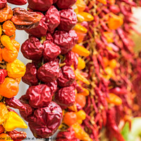 Buy canvas prints of A Fiery Burst of Colour pile of fruit by Alex Winter