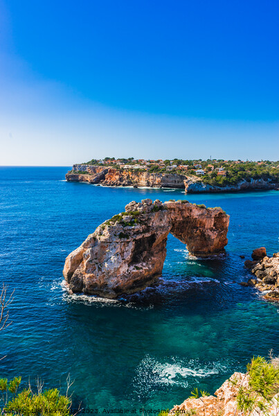 Rock arch at the coastline on Mallorca es pontas Picture Board by Alex Winter