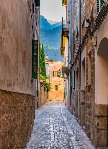 Old mediterranean town of Soller Picture Board by Alex Winter