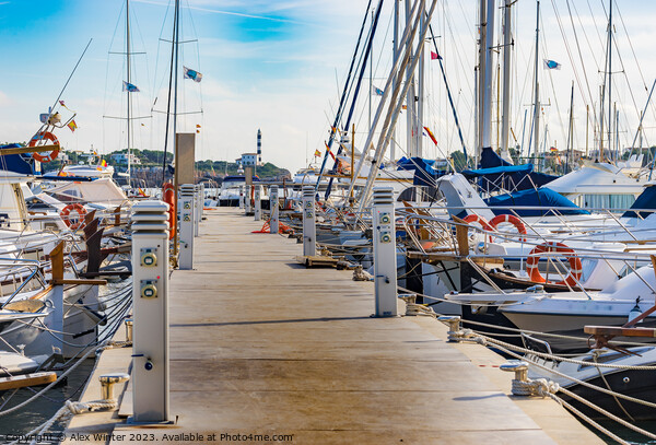 Sailing boats moored at the pier in Portocolom Picture Board by Alex Winter