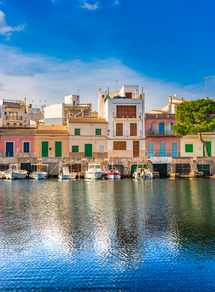 View of the beautiful port of Portocolom Picture Board by Alex Winter