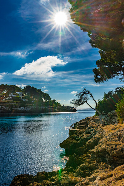 Beautiful bay on Majorca Picture Board by Alex Winter