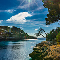 Buy canvas prints of Beautiful bay on Majorca by Alex Winter