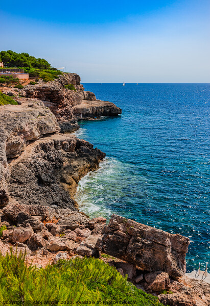 Rocky coast on Mallorca Picture Board by Alex Winter
