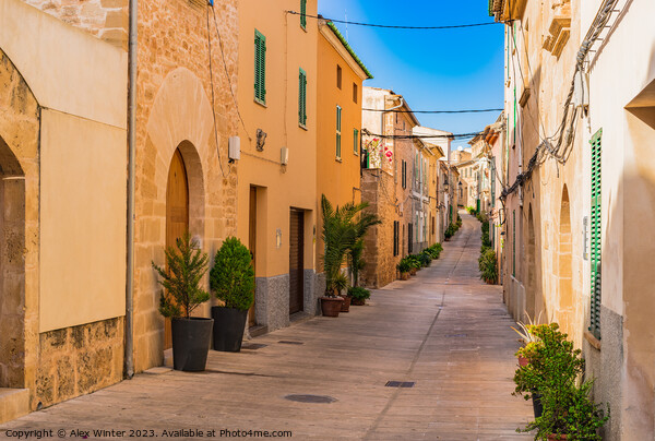 Street in the old town of Alcudia Picture Board by Alex Winter