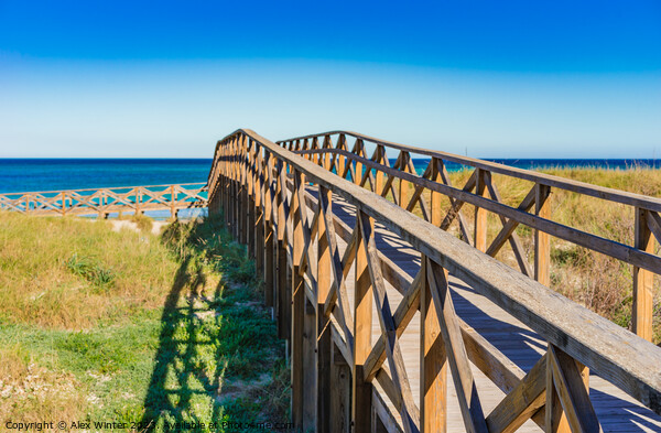 Wooden footbridge over the sand dunes to the beach of Alcudia Picture Board by Alex Winter