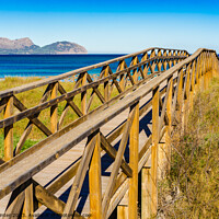 Buy canvas prints of Wooden footbridge over sand dunes by Alex Winter