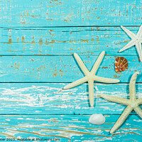 Buy canvas prints of Summer decoration with starfish and seashell by Alex Winter