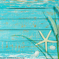 Buy canvas prints of Starfish and reed decoration by Alex Winter