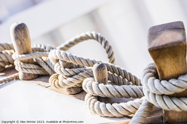 Close-up of moored ropes Picture Board by Alex Winter