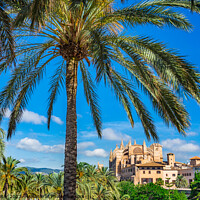 Buy canvas prints of Palma Cathedral majorca by Alex Winter