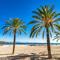 Buy canvas prints of Bay of Alcudia on Mallorca  by Alex Winter